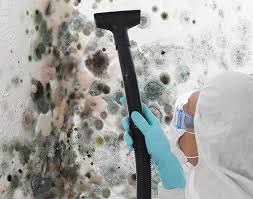 Trusted Lebanon, VA Mold Removal & Remediation Experts